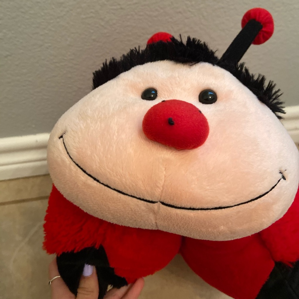 Pillow pet